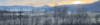 Riet Liechtenstein Ruggell nature trees forrest mountains sunrise grenn yellow blue grey