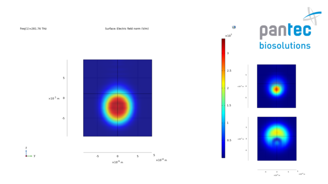 multiphysics simulation comsol Pantec Biosolutions termal development simmulation development service